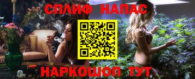 сатива Нальчик