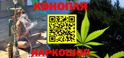 сатива Нальчик