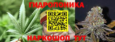 сатива Нальчик