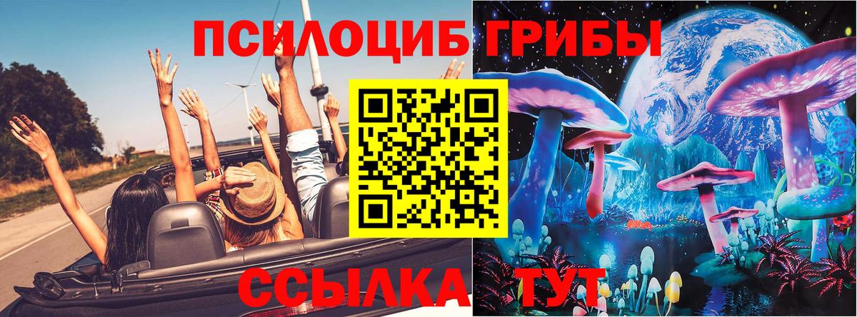 Псилоцибиновые грибы Magic Shrooms  Вход с VPN  Татарск  Галлюциногенные грибы Psilocybe 