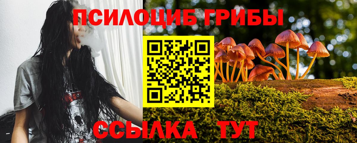 Галлюциногенные грибы Psilocybine cubensis Татарск
